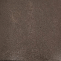 ATHENA TAUPE