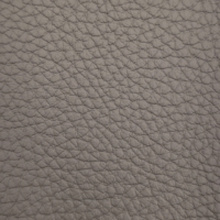 BISON ASH