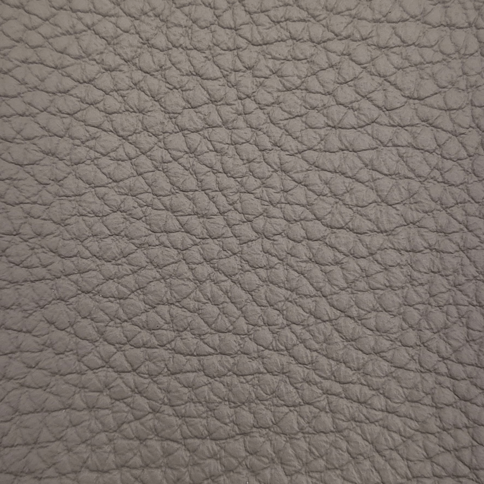 BISON ASH