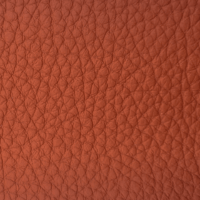 BISON CORAL