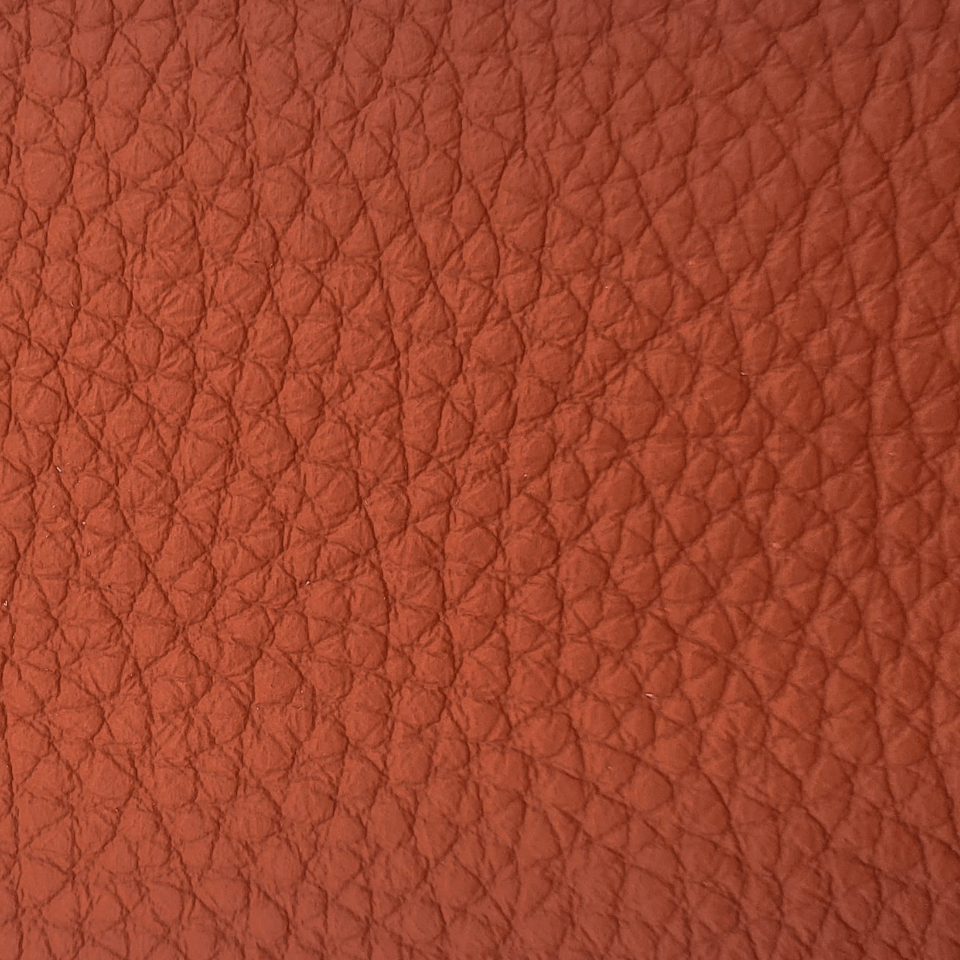 BISON CORAL