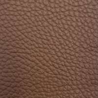 BISON EARTH