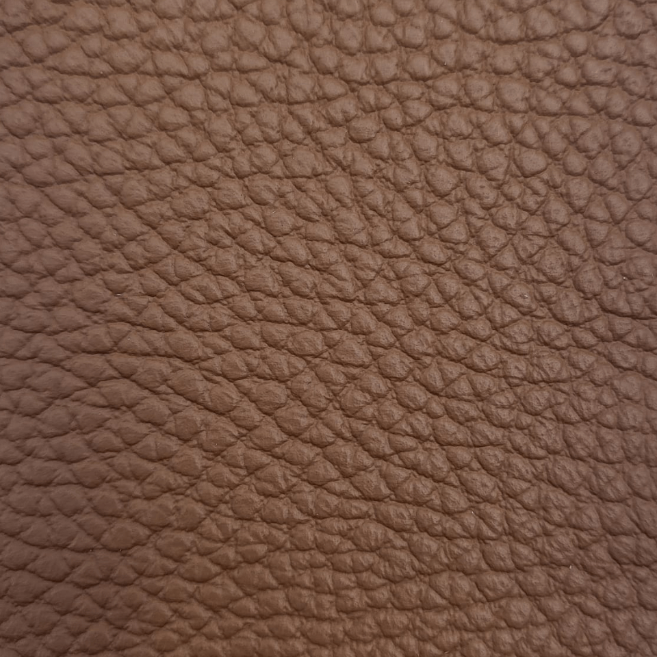 BISON EARTH
