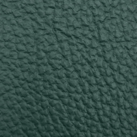 BISON GREEN