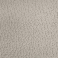 BISON IVORY