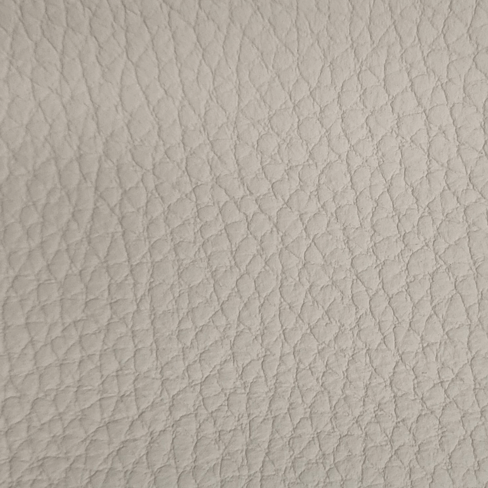 BISON IVORY
