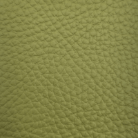 BISON LIME