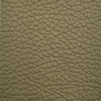 BISON OLIVE