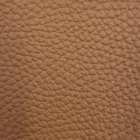 BISON ORANGE