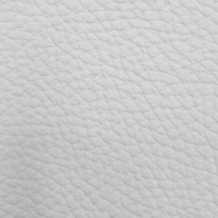 BISON WHITE
