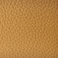 BISON YELLOW