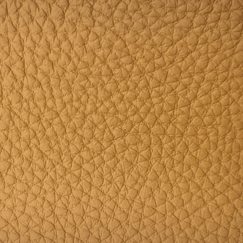 BISON YELLOW