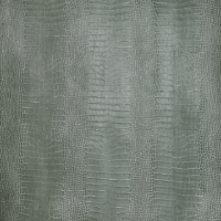 CAIMANO ITALIAN OLIVE