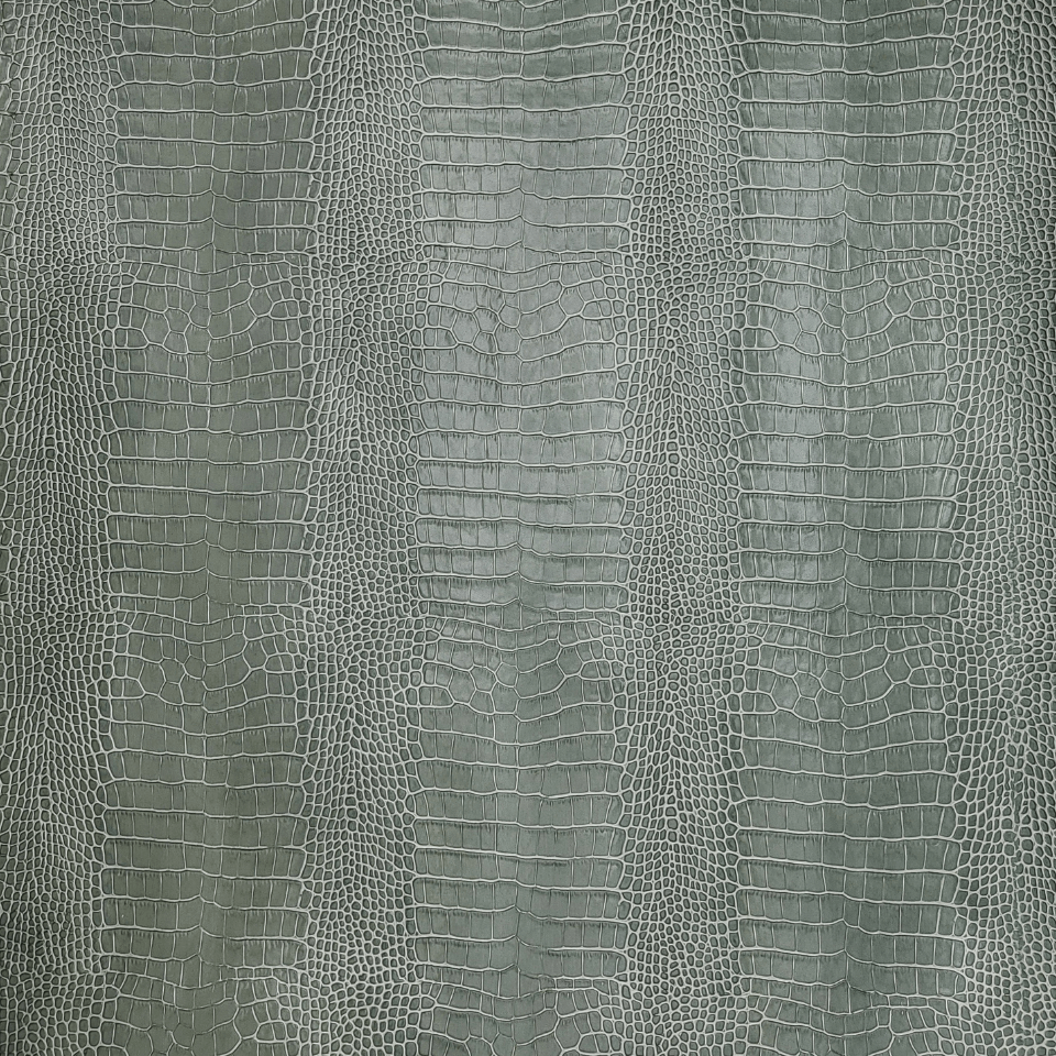 CAIMANO ITALIAN OLIVE