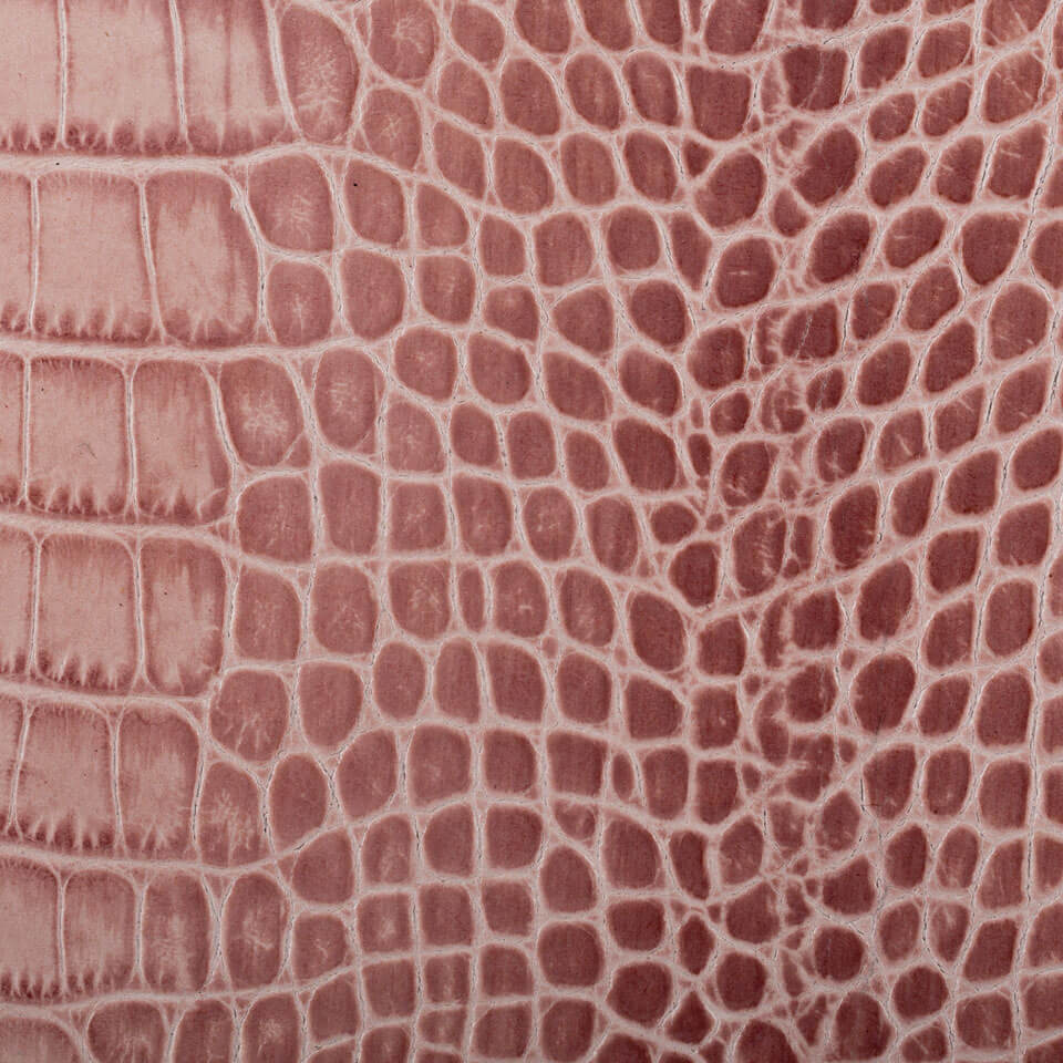 CAIMANO ROSA