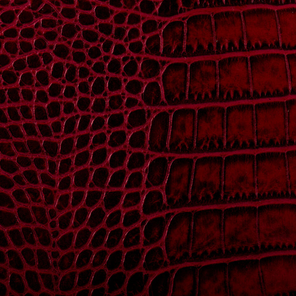 CAIMANO ROSSO