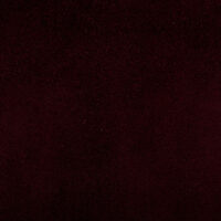 CAMOSCIO BORDO