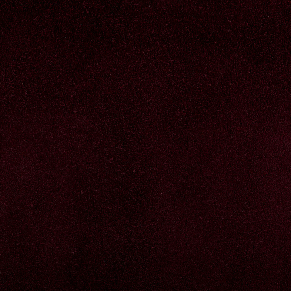 CAMOSCIO BORDO