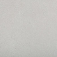 CAMOSCIO GRIGIO PERLA