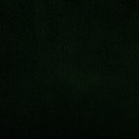 CAMOSCIO GUCCI GREEN