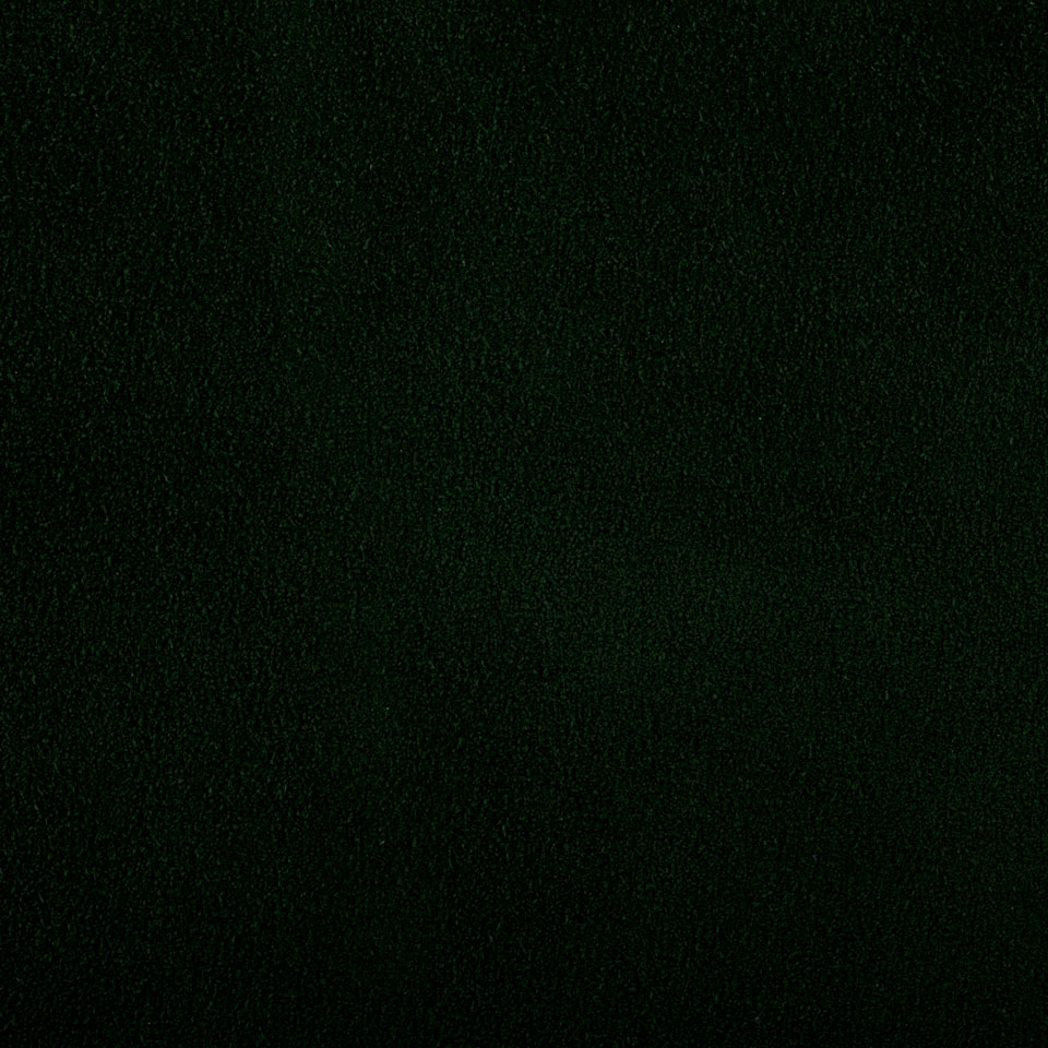 CAMOSCIO GUCCI GREEN