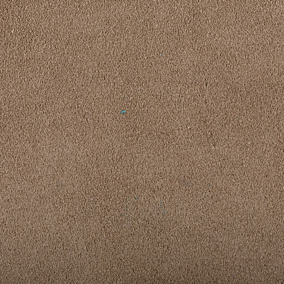 CAMOSCIO TORTORA