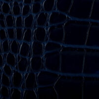 COCCO BLU MIDNIGHTT