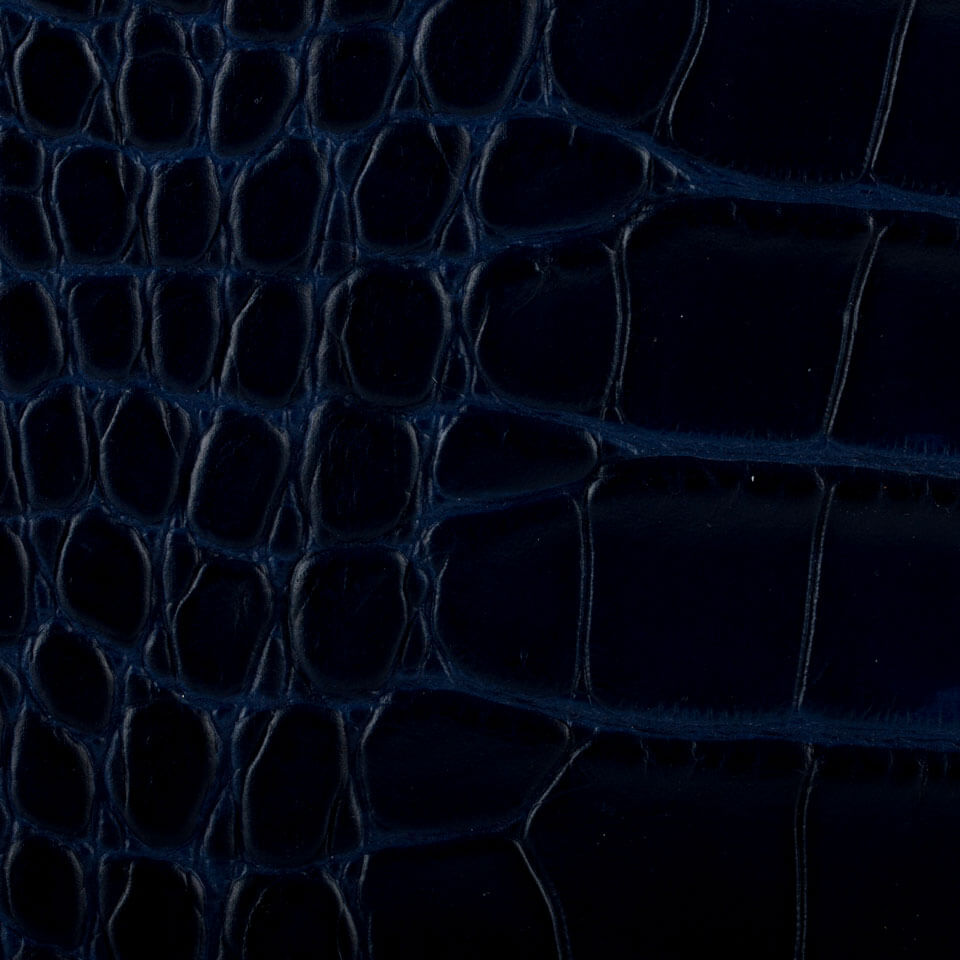 COCCO BLU MIDNIGHTT