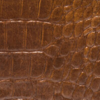 COCCO BROWN
