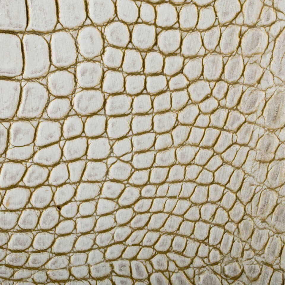 COCCO PAVONI GOLD