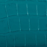 COCCO TURCHESE