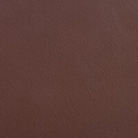 ECHO PARK PALM BROWN