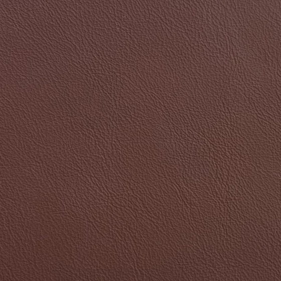 ECHO PARK PALM BROWN