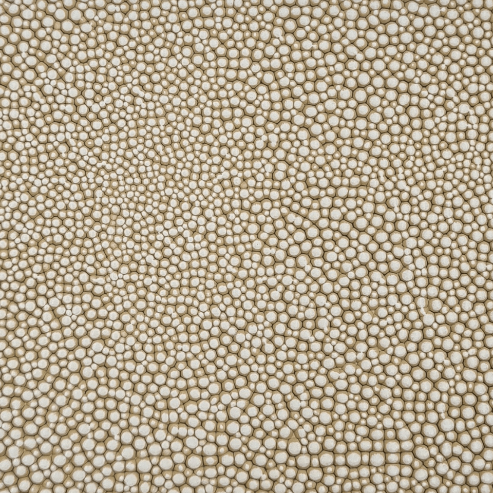 GALUCHAT BEIGE
