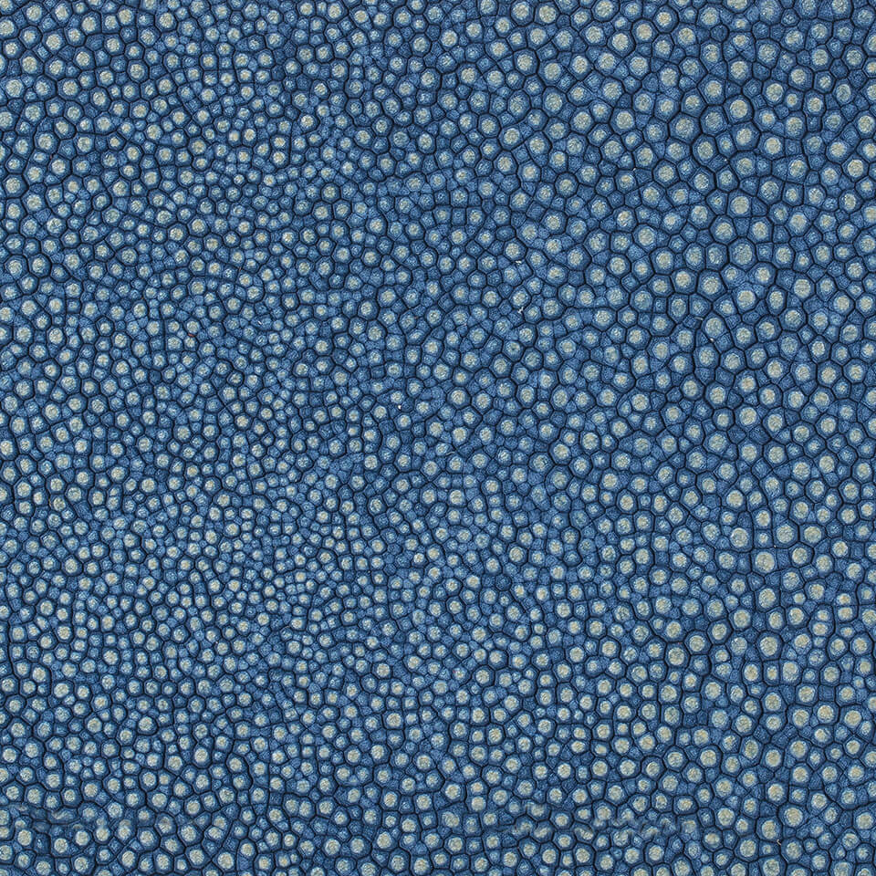 GALUCHAT NAVY