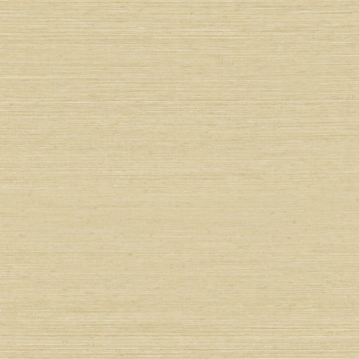 LAN203