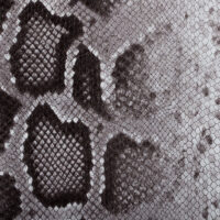 LIVERY PITONE TEAK