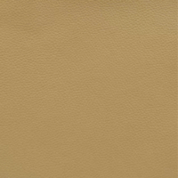 OCEAN BEIGE