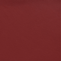 OCEAN FIRE