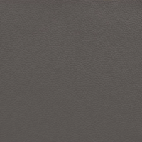OCEAN GREY