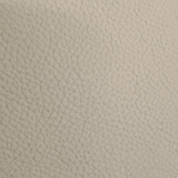 OCEAN IVORY
