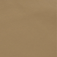 OCEAN SAND