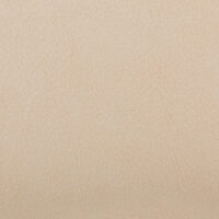 PATAGONIA SOFT BEIGE