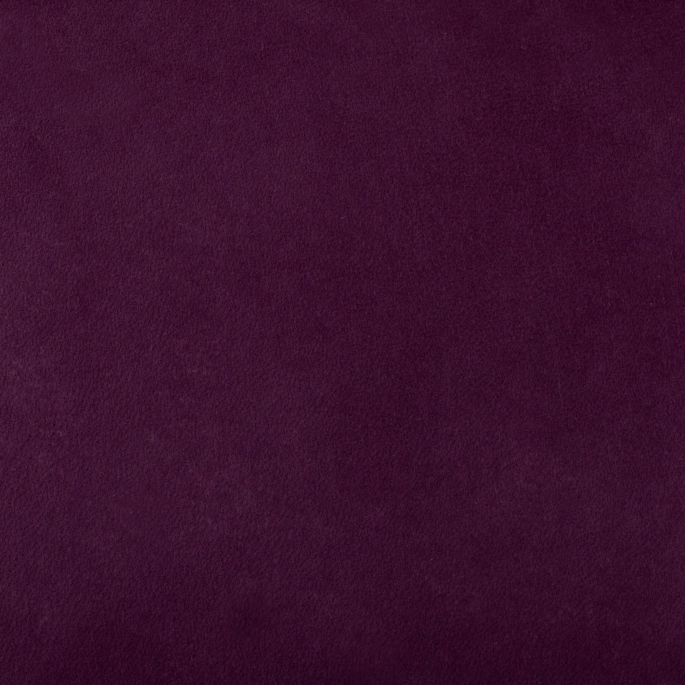 PATAGONIA VIOLA