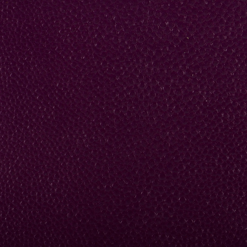 RAZZA VIOLA