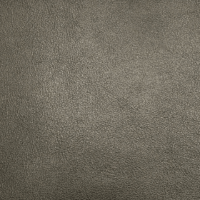 STARDUST BRONZE