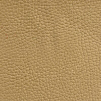 MANDEVILLE SIENNA