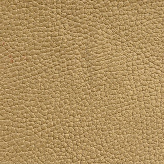 MANDEVILLE SIENNA