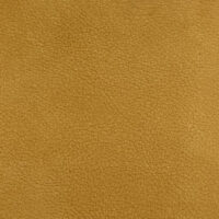 ECHO PARK SIENNA