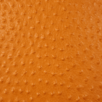 STRUZZO ARANCIO
